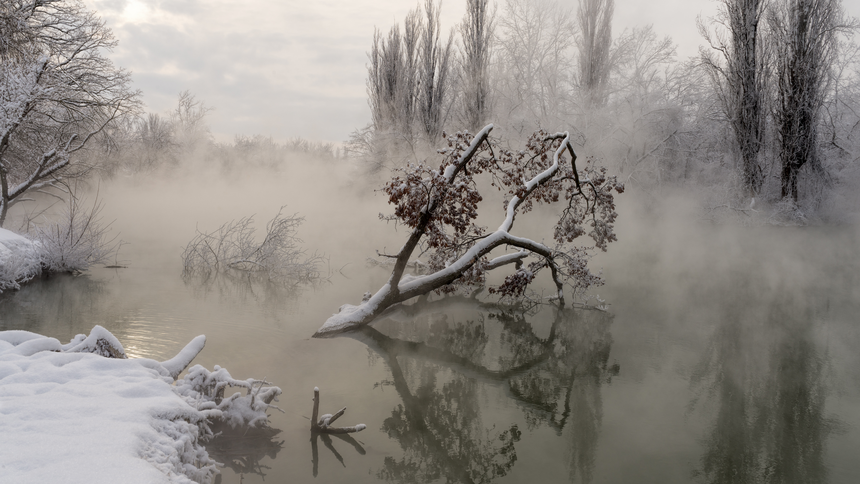 Бежит река в тумане тая текст. Зима туман. Холодный пейзаж природа. Холодное туманное утро. Туман над водой зимой.